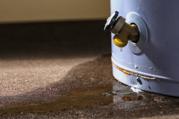 Best Local water damage restoration  in Burlington, NC