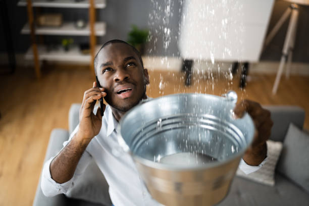 Best Ceiling water damage repair  in Burlington, NC