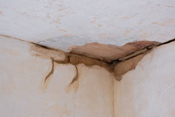 Best Water damage restoration near me  in Burlington, NC