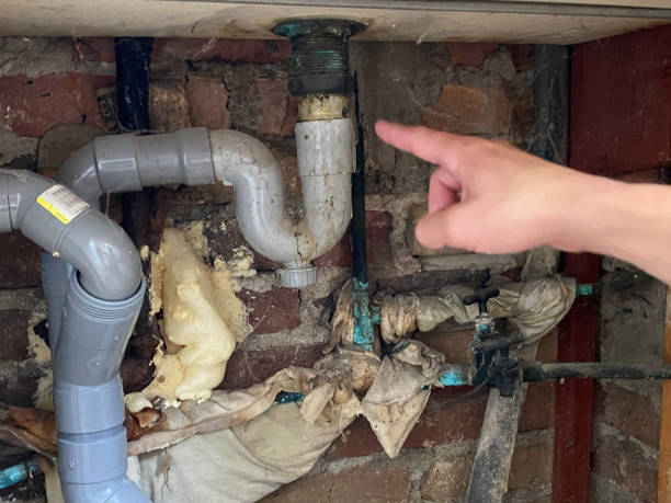 Best Flood damage cleanup  in Burlington, NC