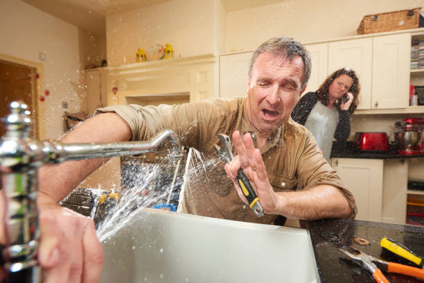 Best Basement water damage restoration  in Burlington, NC